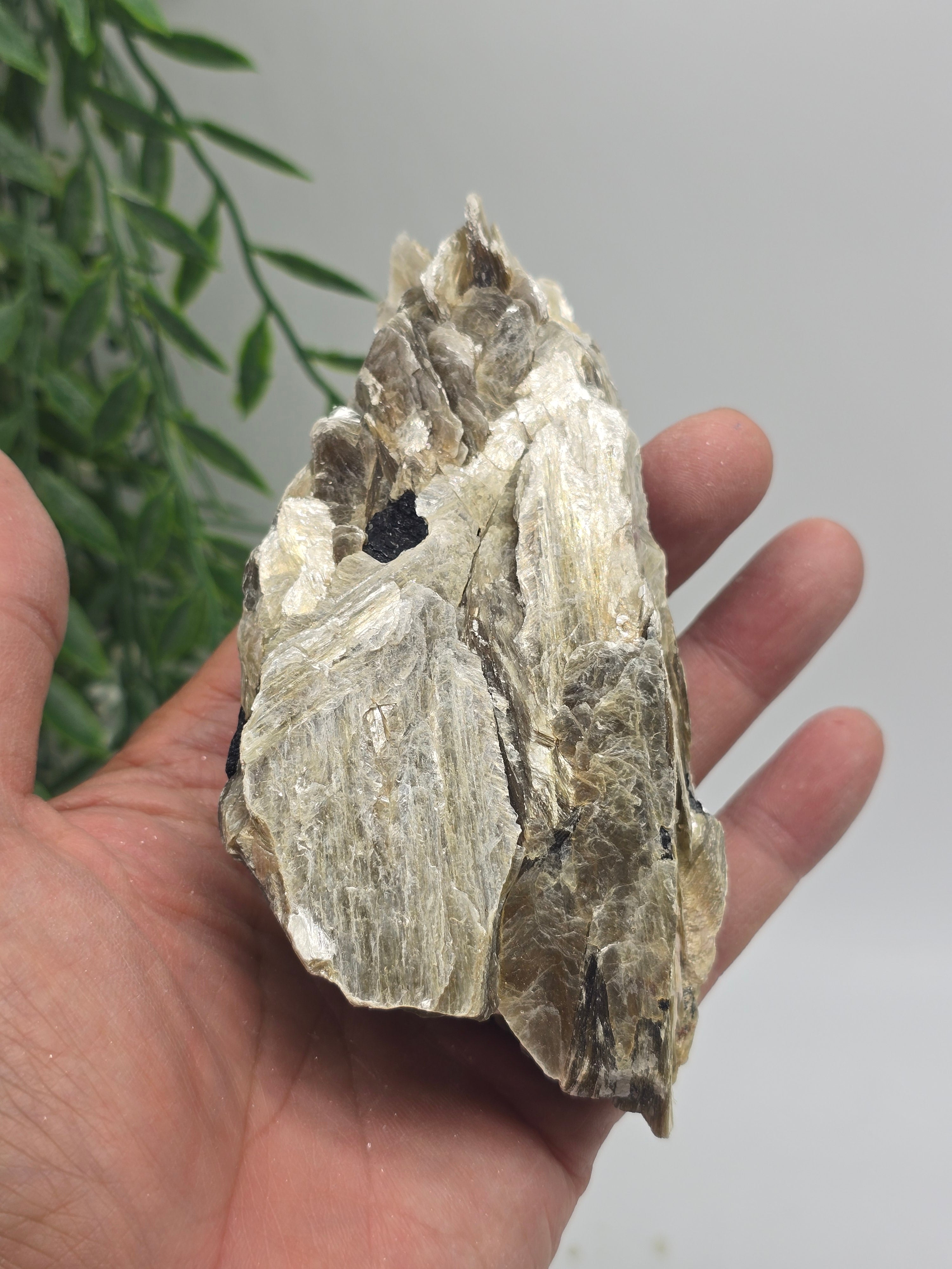 Rare Mica with Black Tourmaline – 13x7x4cm | 0.4kg Crystal Wellness