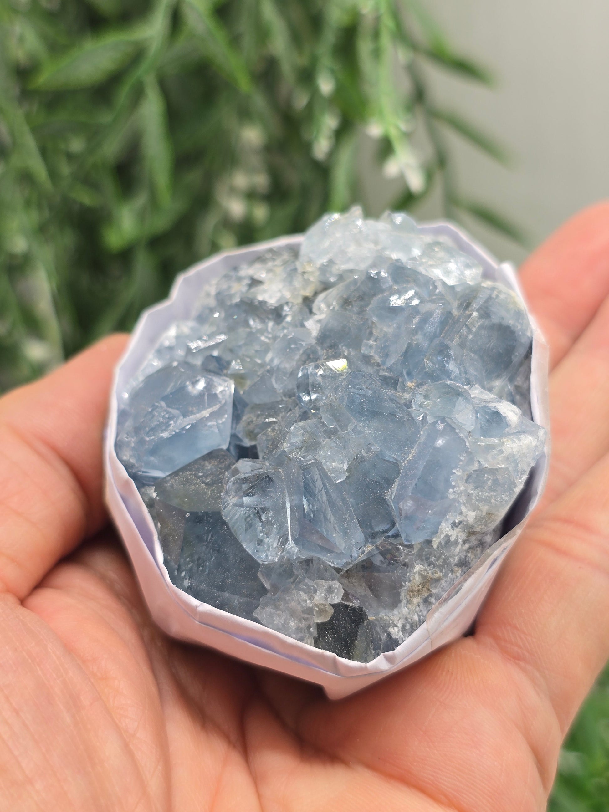 Natural Celestite Cluster – Madagascar | Angelic Communication, Peace & Spiritual Connection Crystal Wellness