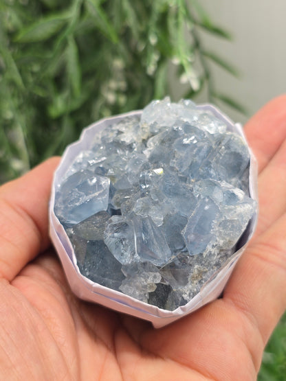 Natural Celestite Cluster – Madagascar | Angelic Communication, Peace & Spiritual Connection Crystal Wellness