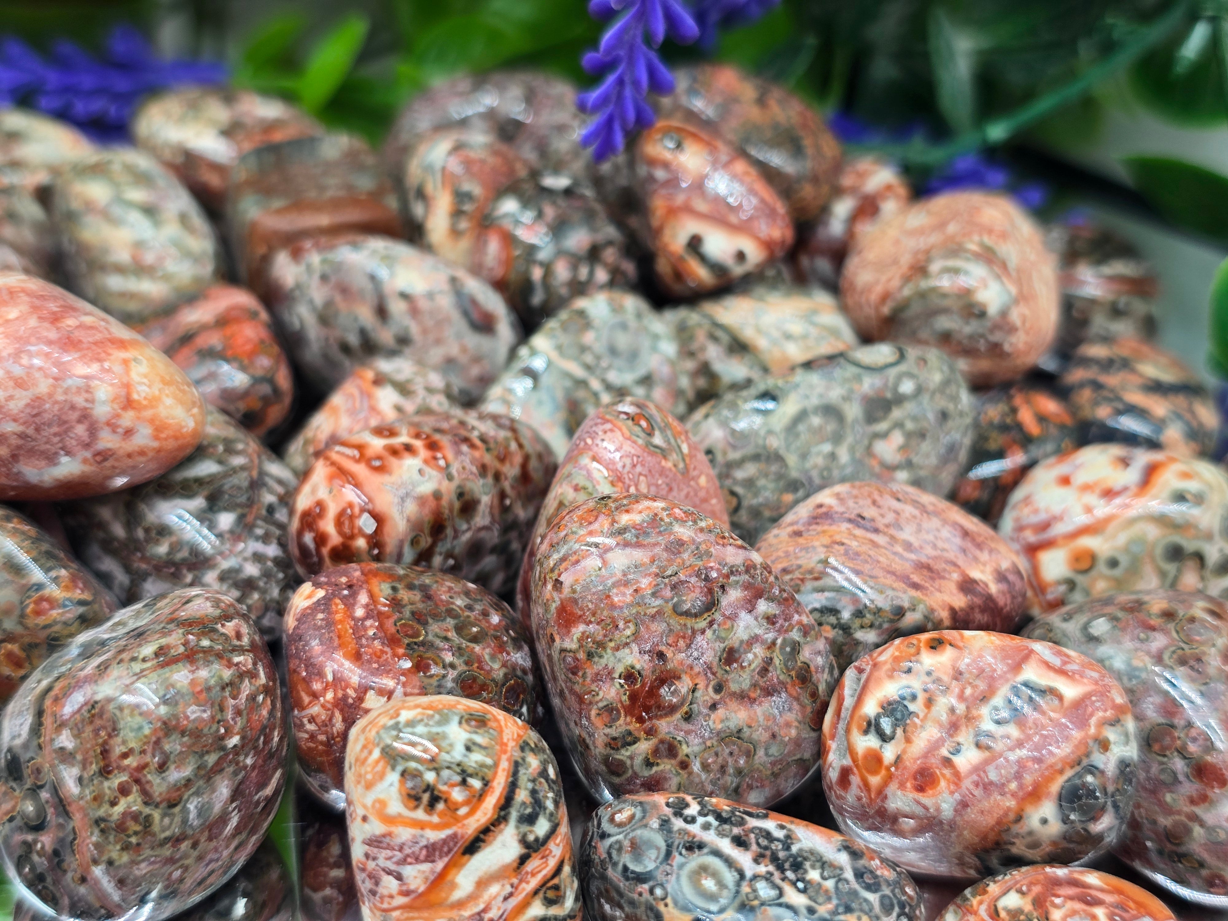 Leopard Jasper Tumbled Stone – Stone of Courage, Instinct & Animal Spirit Connection Crystal Wellness