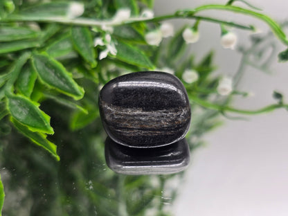 Isua Stone Polished Tumble (Stone of Ancient Earth Wisdom) Crystal Wellness