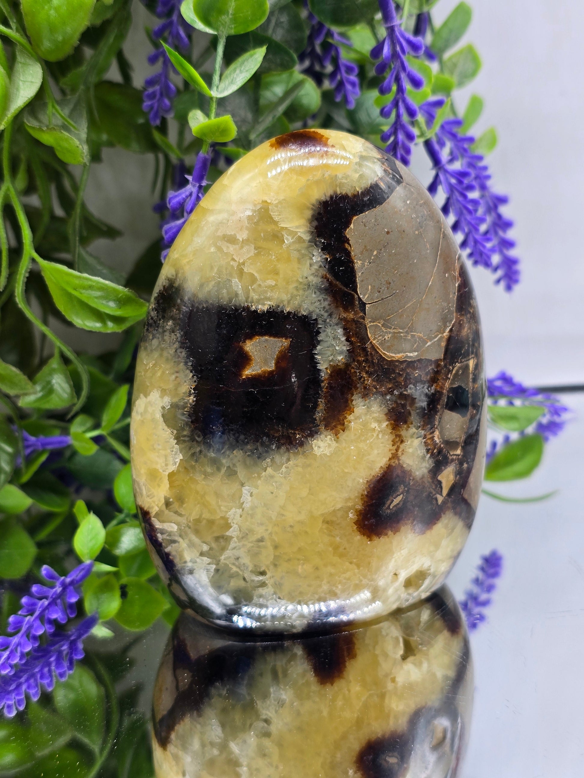 Premium Septarian Freeform – 867g | 12 × 9 × 5cm
“Stone of the Dragon” – Confidence, Grounding & Inner Strength Crystal Wellness