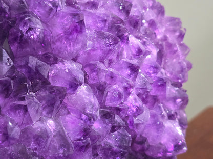 Amethyst Cluster AAA Superb Deep Purple Quality 21.7 Kgs 64cm x 36cm Crystal Wellness