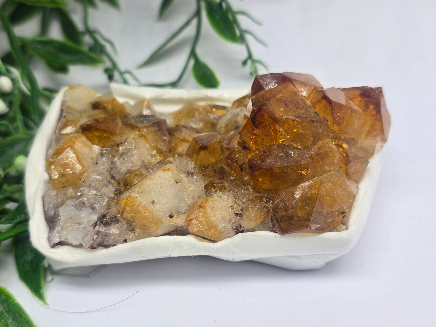 Citrine Cluster Crystal Wellness