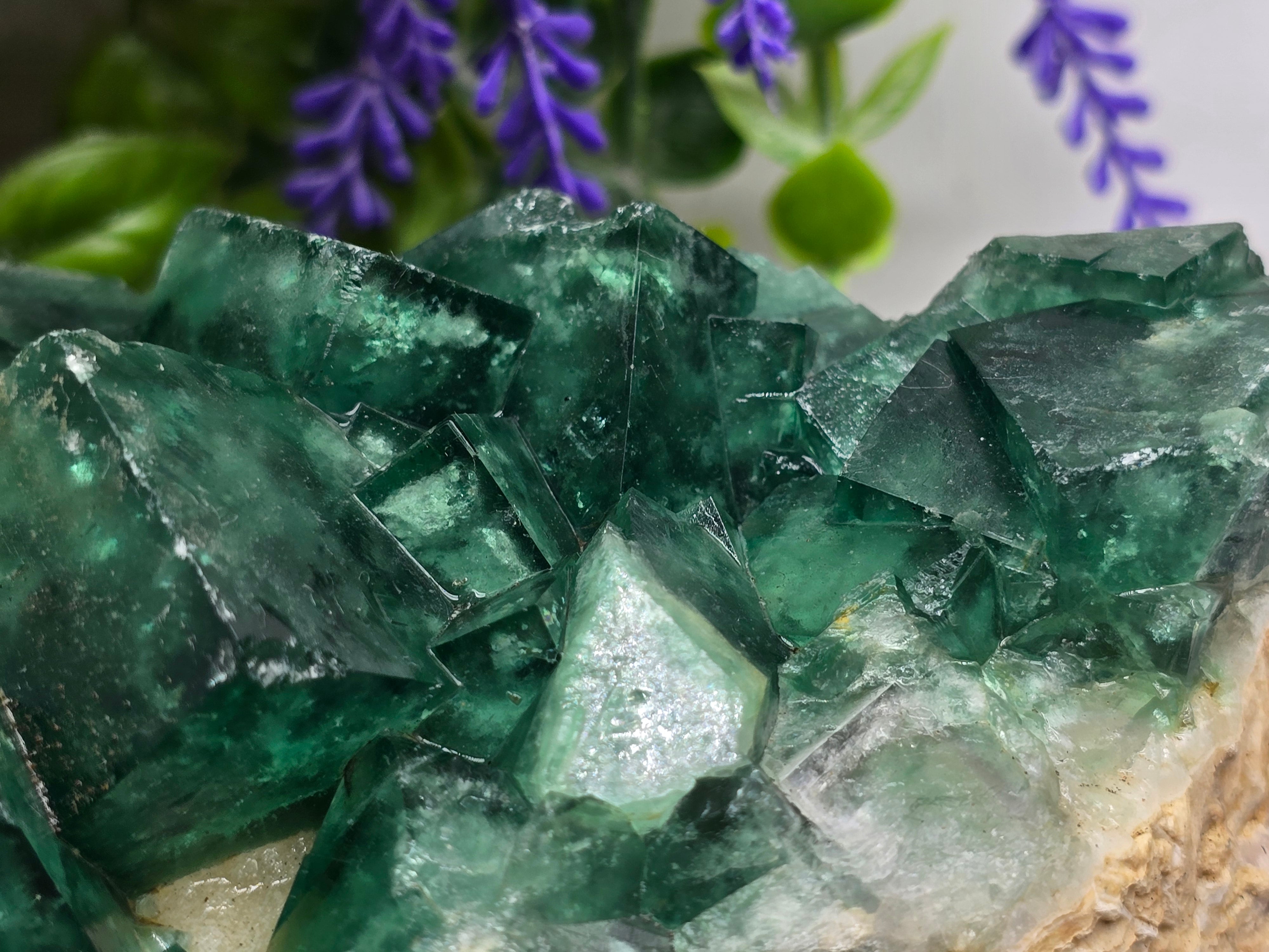 Natural Green Fluorite Cluster — Madagascar (Stone of Clarity & Renewal) Crystal Wellness