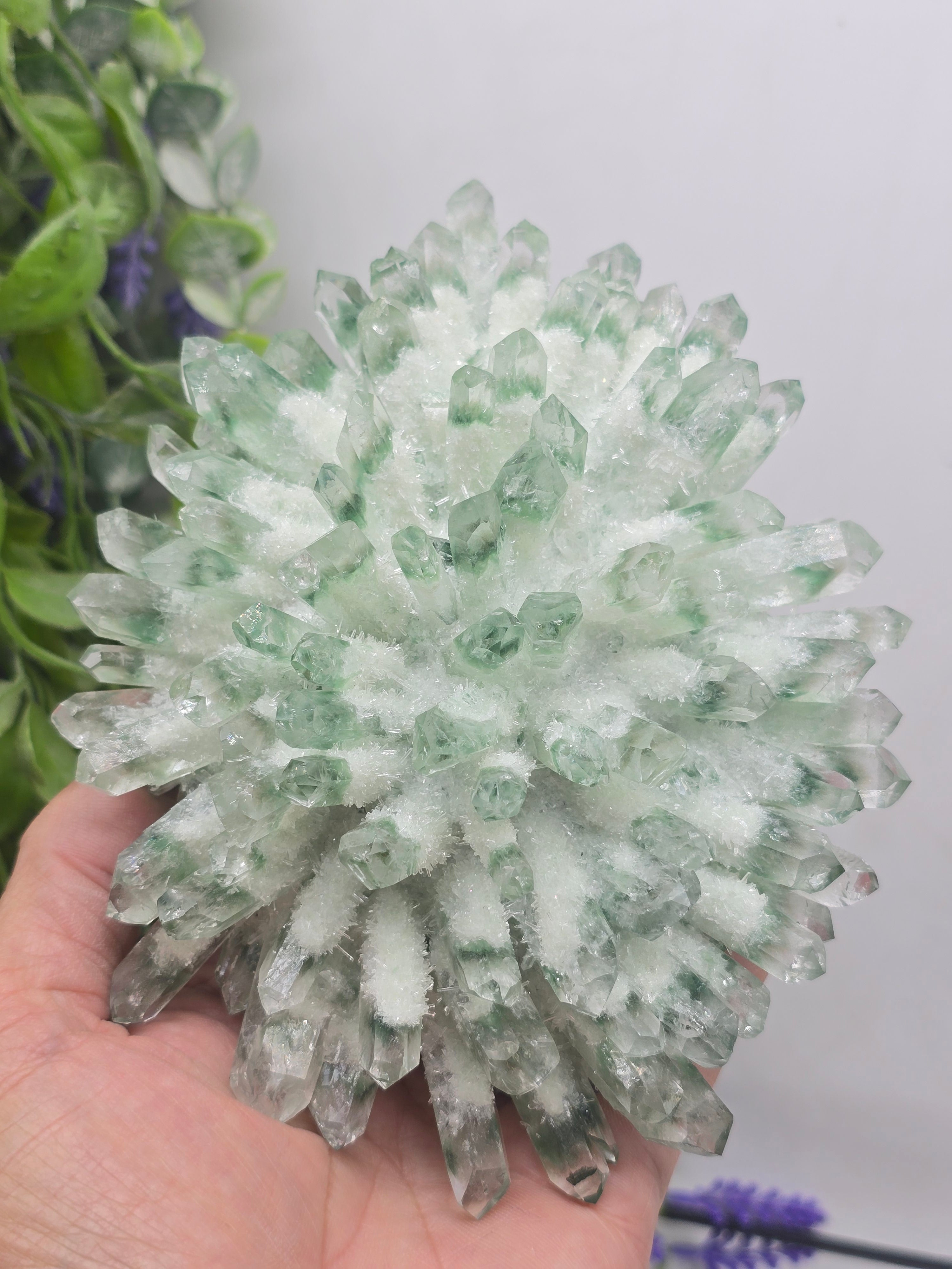 Green Chromium Quartz Cluster – Self-Healing, Heart Renewal & Regenerative Abundance 16x13x5cm Crystal Wellness