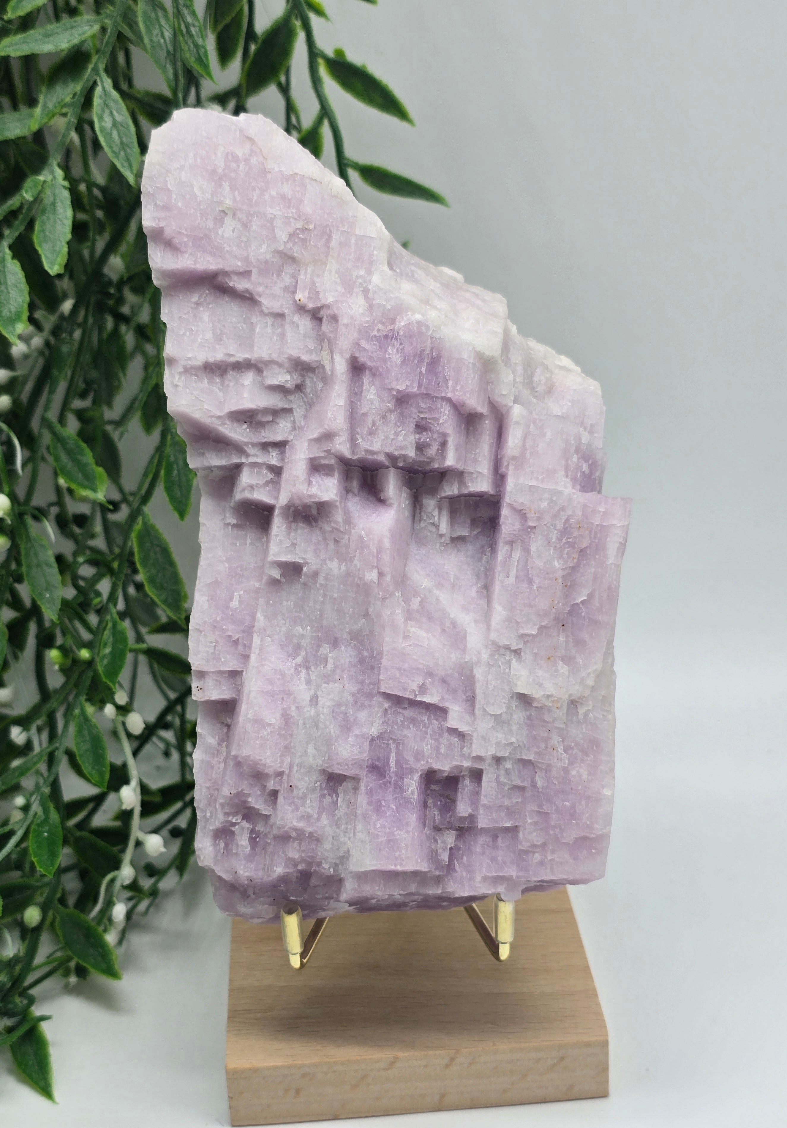 Kunzite Raw 5.5g Crystal Wellness