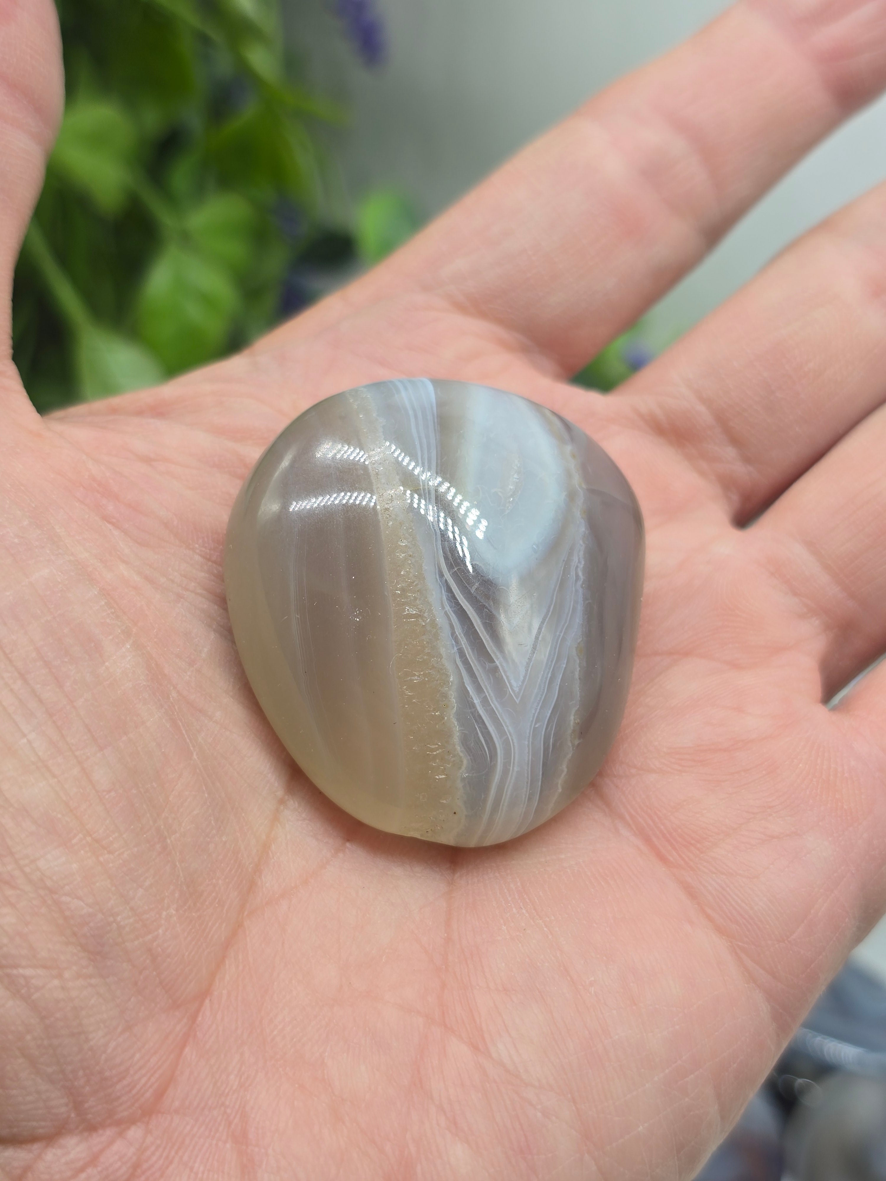 Botswana Agate Palm Stone – Emotional Balance | Gentle Protection | Grounded Strength Crystal Wellness