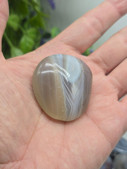 Botswana Agate Palm Stone – Emotional Balance | Gentle Protection | Grounded Strength Crystal Wellness