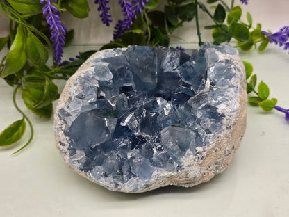 Celestite Geode High Grade – Stone of Divine Peace, Angelic Connection & Inner Harmony | 1.8kgs Crystal Wellness