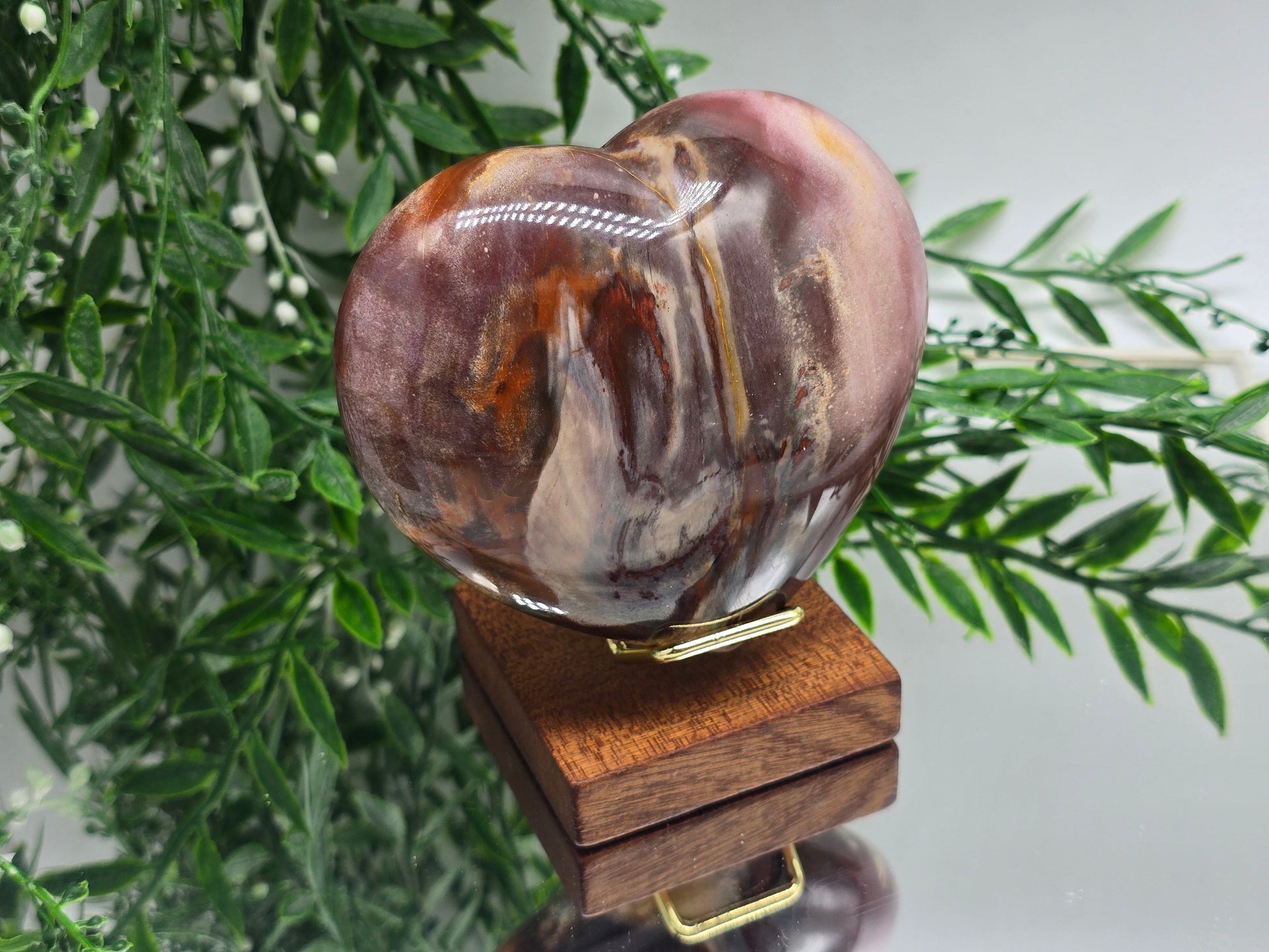 Petrified Wood Heart – Madagascar | 615g (Stand Included) Crystal Wellness