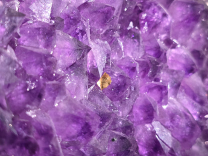 Amethyst Cluster AAA Superb Deep Purple Quality 21.7 Kgs 64cm x 36cm Crystal Wellness
