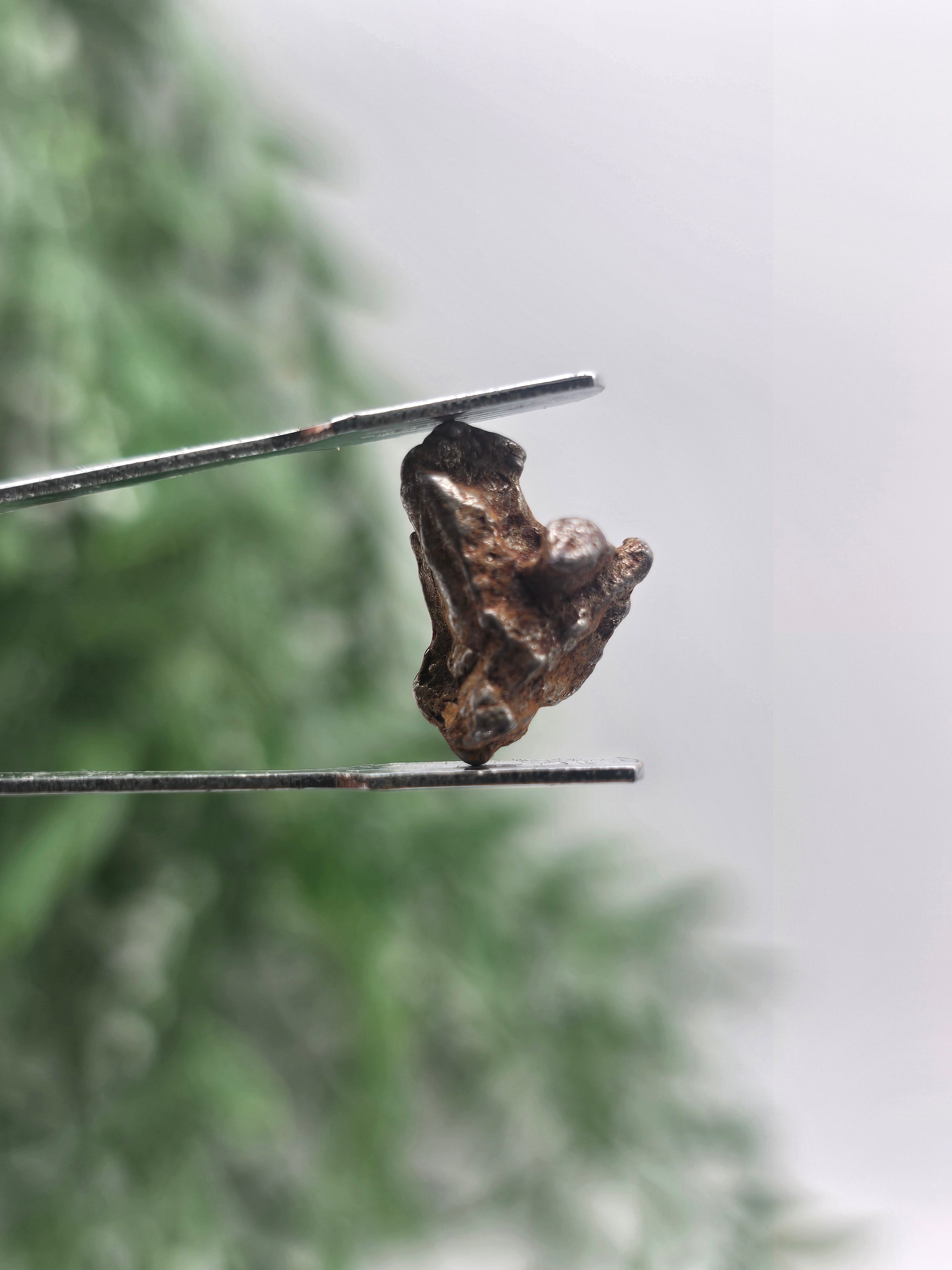 ✨ Sikhote-Alin Iron Meteorite – 2.75g | Starfire of Ancient Universes Crystal Wellness