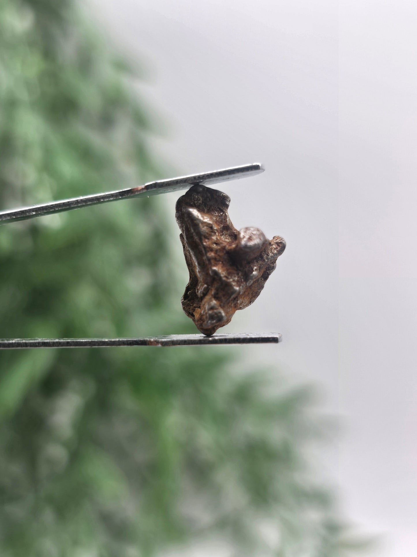 ✨ Sikhote-Alin Iron Meteorite – 2.75g | Starfire of Ancient Universes Crystal Wellness