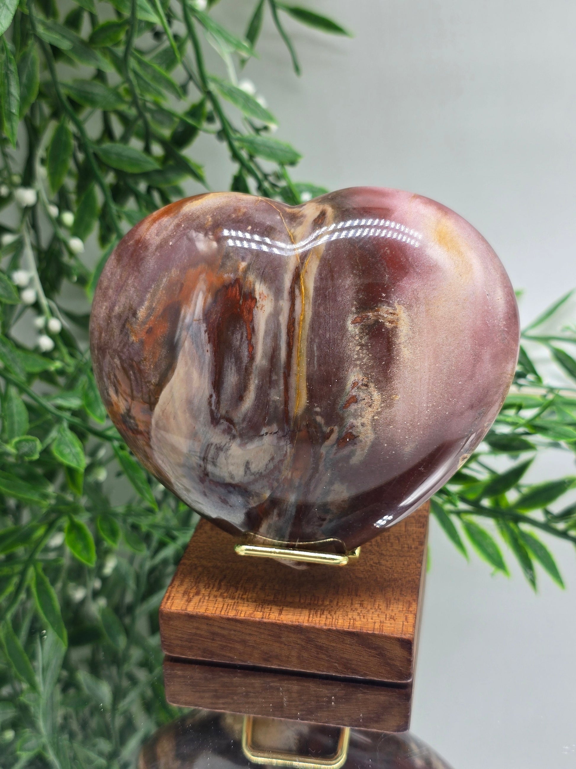 Petrified Wood Heart – Madagascar | 615g (Stand Included) Crystal Wellness