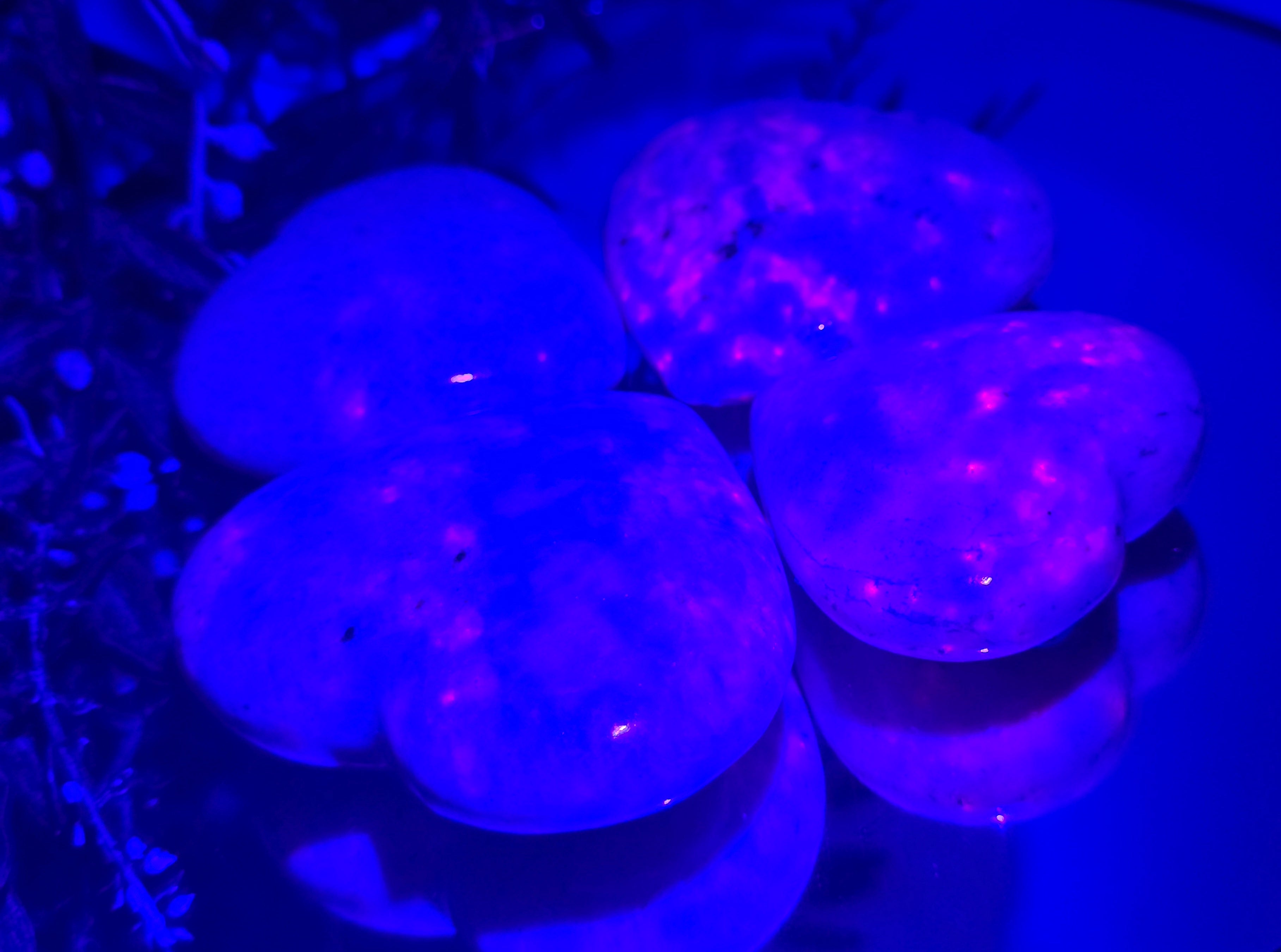 💜 Hackmanite Heart – Stone of Transformation, Inner Magic & Self-Discovery Crystal Wellness