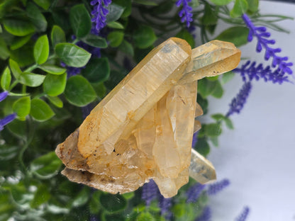 Natural Citrine Cluster – Stone of Abundance, Joy & Personal Empowerment Crystal Wellness