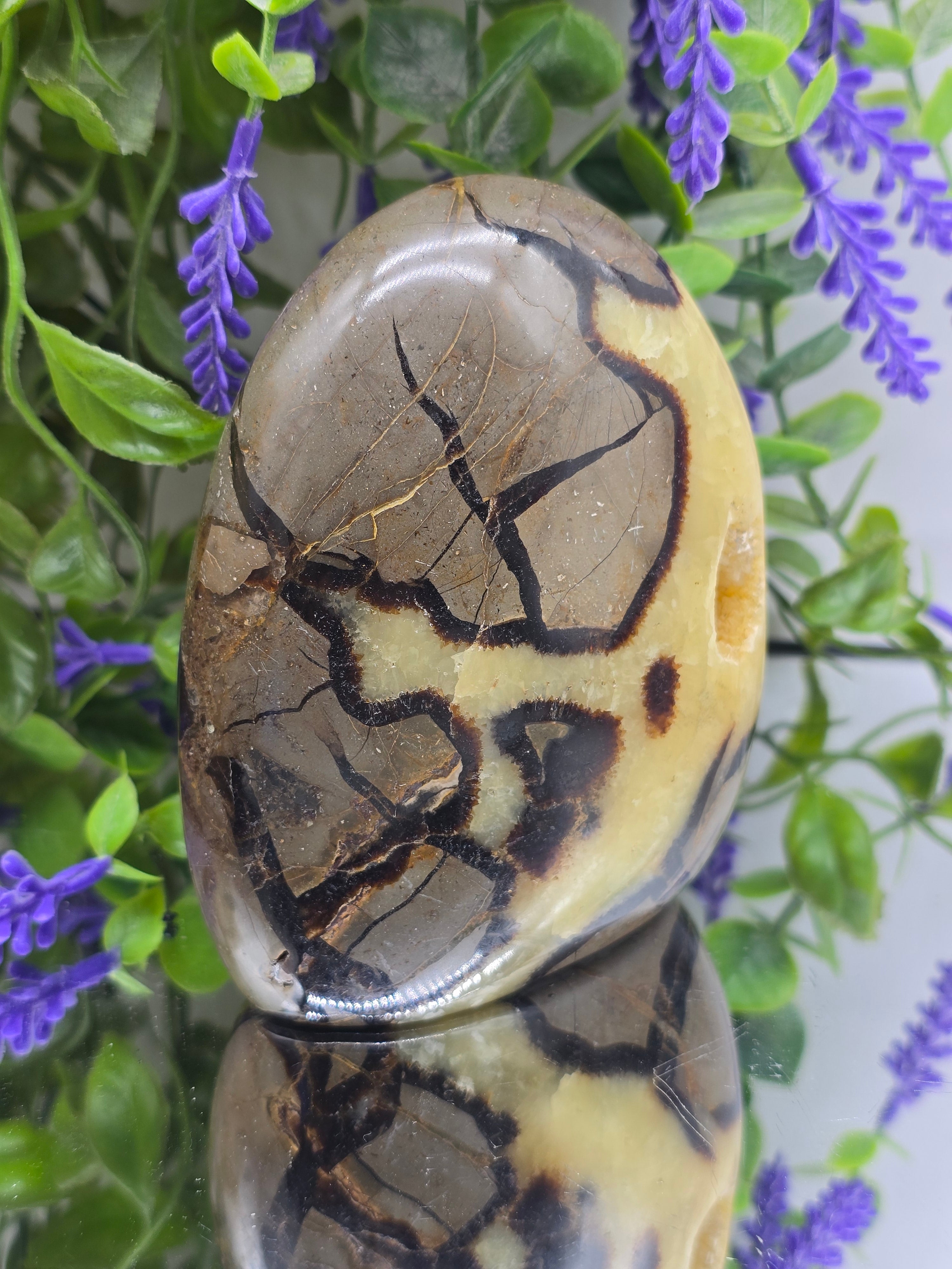 Septarian Freeform High Grade – 741g | Stone of Dragon, Grounding, Confidence & Emotional Balance Crystal Wellness