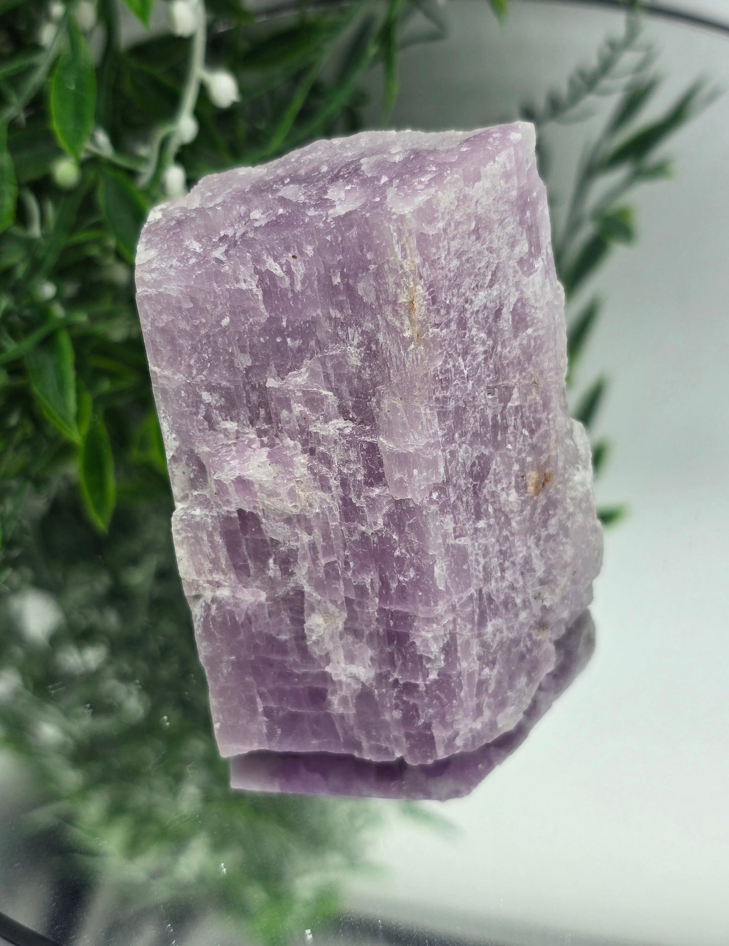 💗 Kunzite Raw – Stone of Divine Love, Calm & Emotional Healing Crystal Wellness