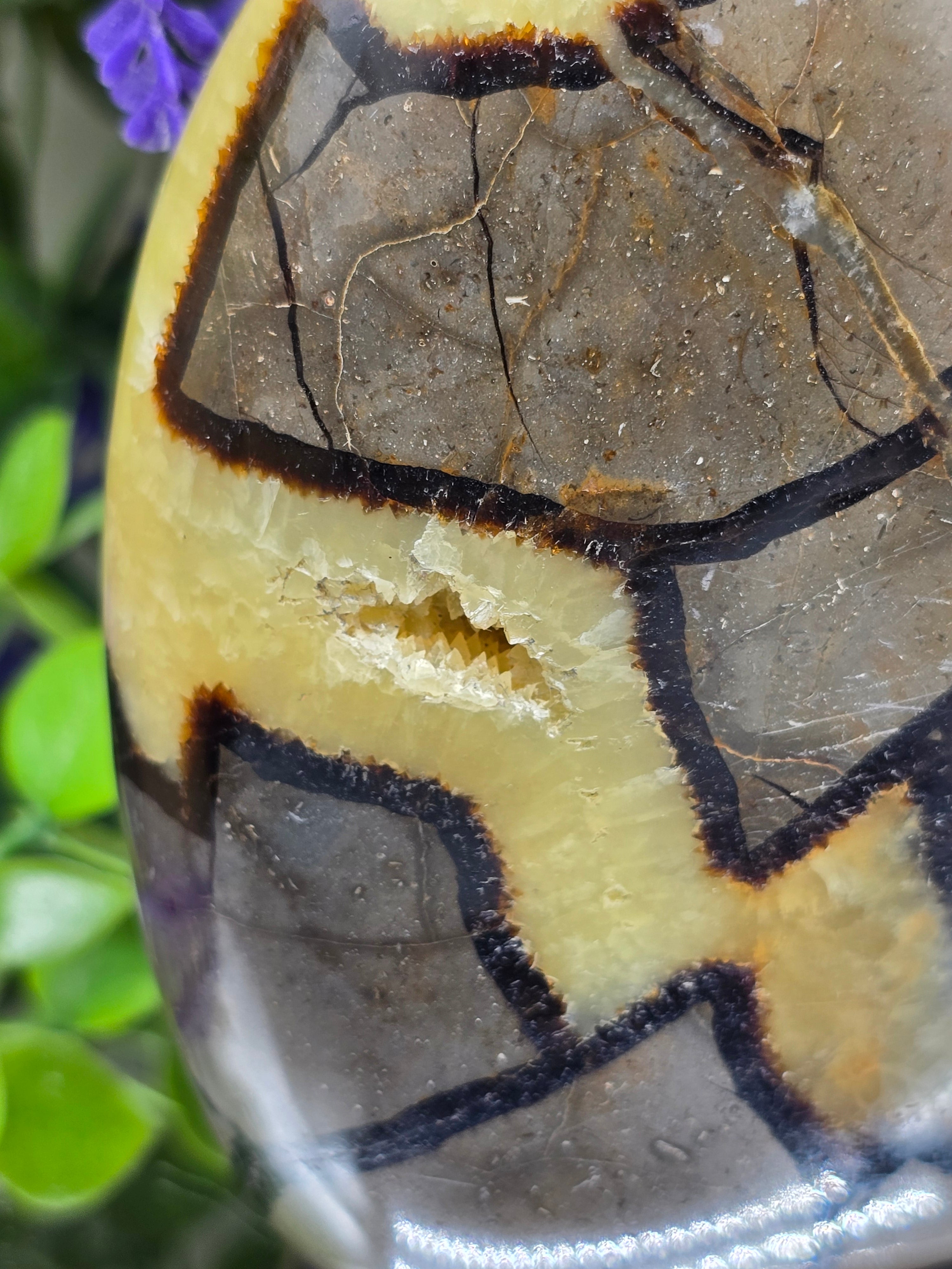 Septarian Freeform High Grade – 741g | Stone of Dragon, Grounding, Confidence & Emotional Balance Crystal Wellness