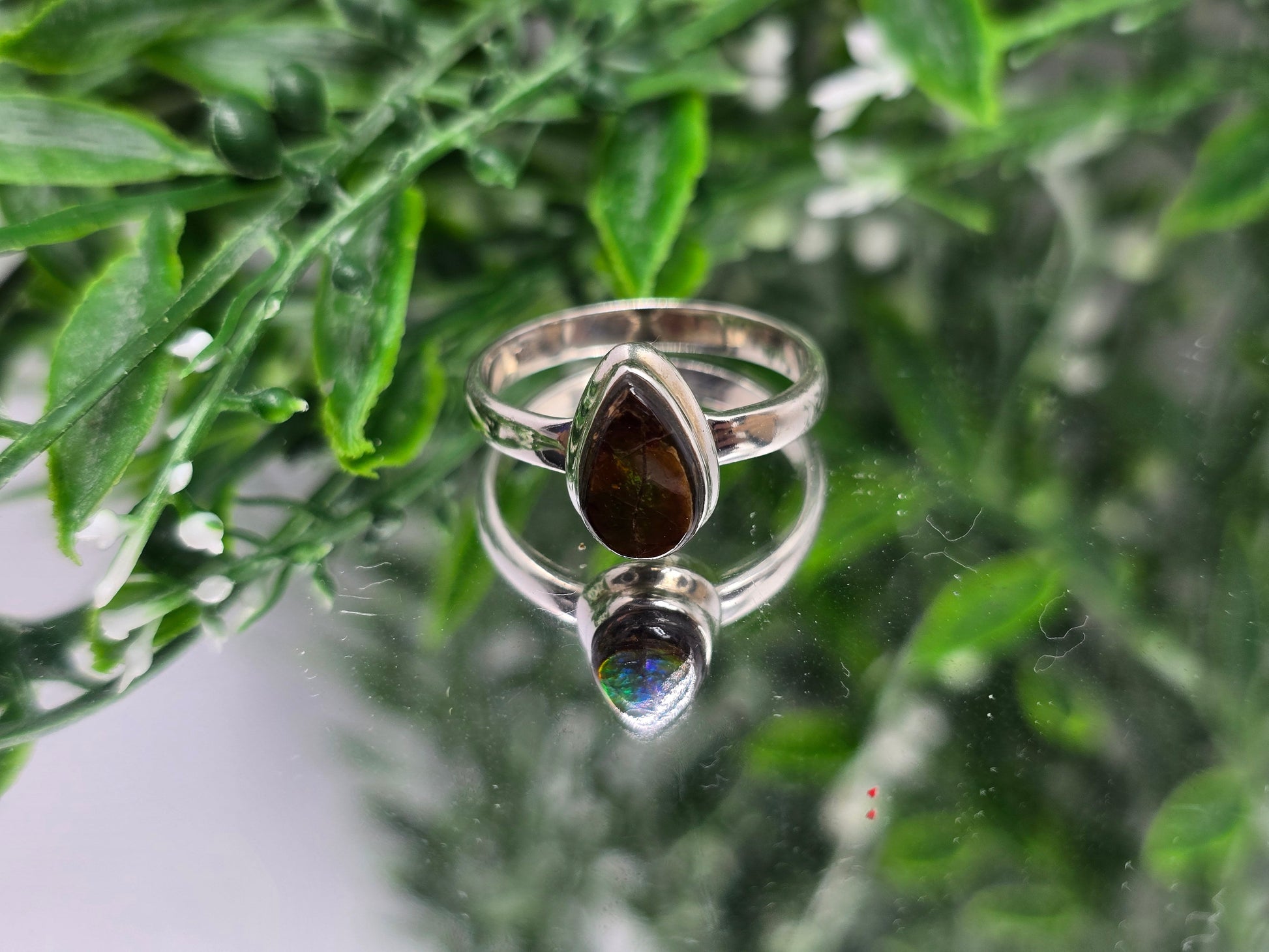🌈 Canadian Ammolite 925 Sterling Silver Ring – Size 10 | Stone of Transformation, Prosperity & Ancient Earth Energy Crystal Wellness