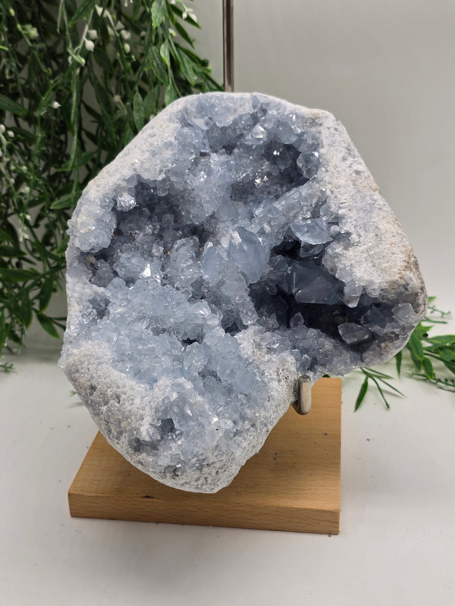Celestite Geode 3.5kg – 21 × 18 × 9 cm (Stone of Angelic Peace) Crystal Wellness