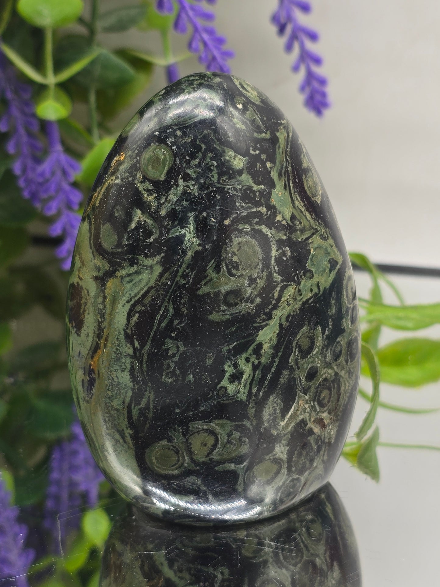 Premium Kambaba Jasper Freeform – Stone of Peace, Tranquility & Ancient Wisdom Crystal Wellness