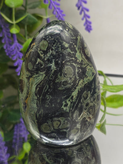 Premium Kambaba Jasper Freeform – Stone of Peace, Tranquility & Ancient Wisdom Crystal Wellness