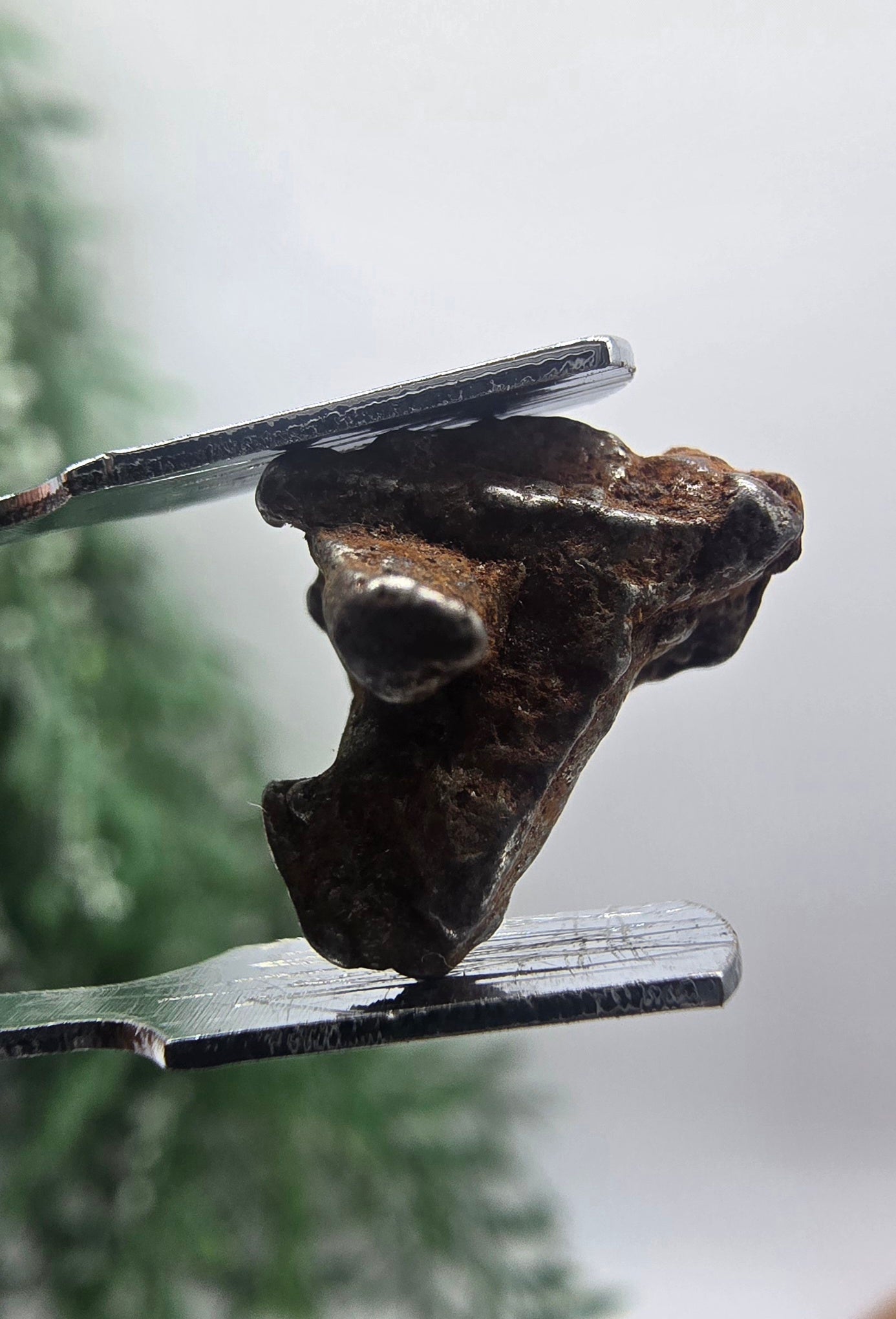 ✨ Sikhote-Alin Iron Meteorite – 2.75g | Starfire of Ancient Universes Crystal Wellness
