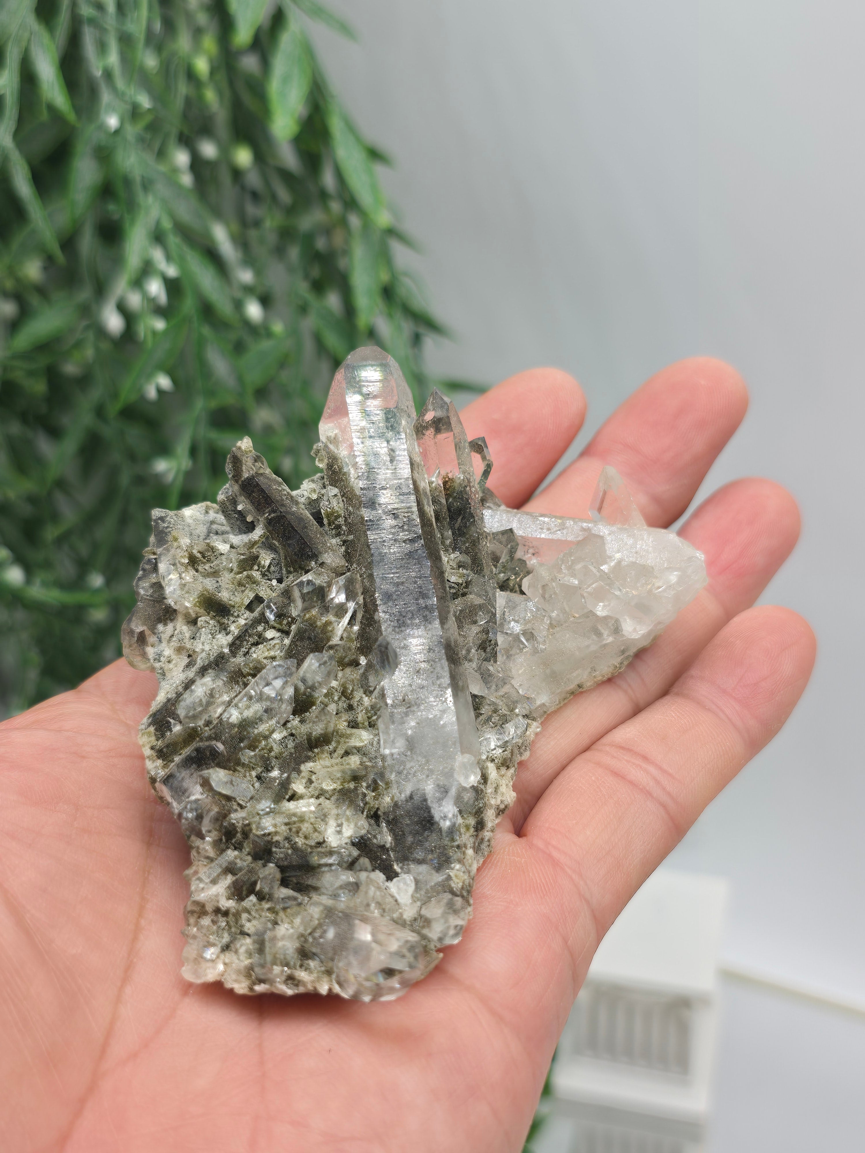 Black Phantom Quartz Cluster 8×8 cm (Stone of Shadow Integration & Spiritual Transformation) Crystal Wellness