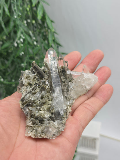 Black Phantom Quartz Cluster 8×8 cm (Stone of Shadow Integration & Spiritual Transformation) Crystal Wellness