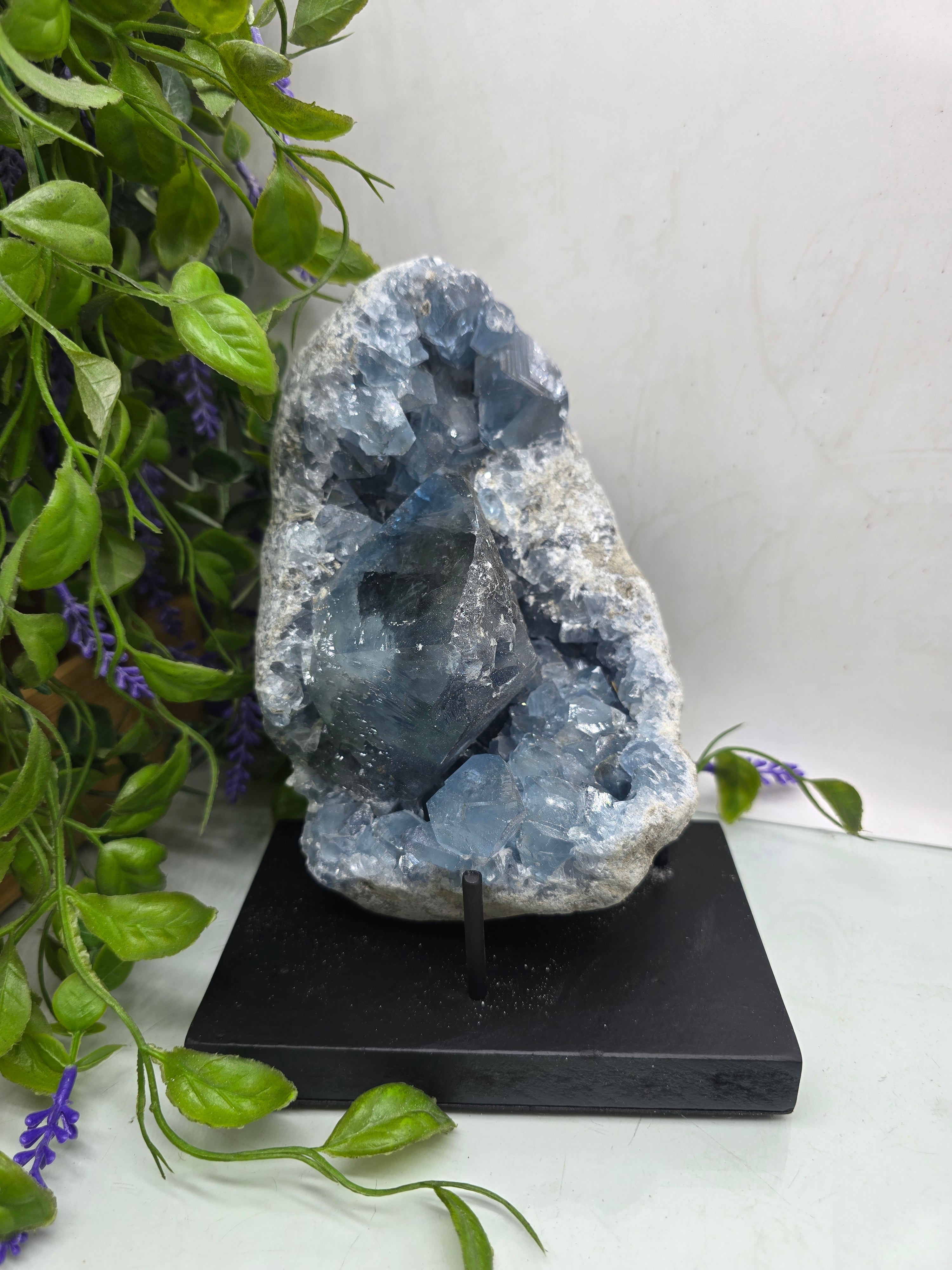 Celestite Geode Cluster 3kgs 19x14x10cm Premium Quality (Stone of Divine Peace & Angelic Connection) Crystal Wellness