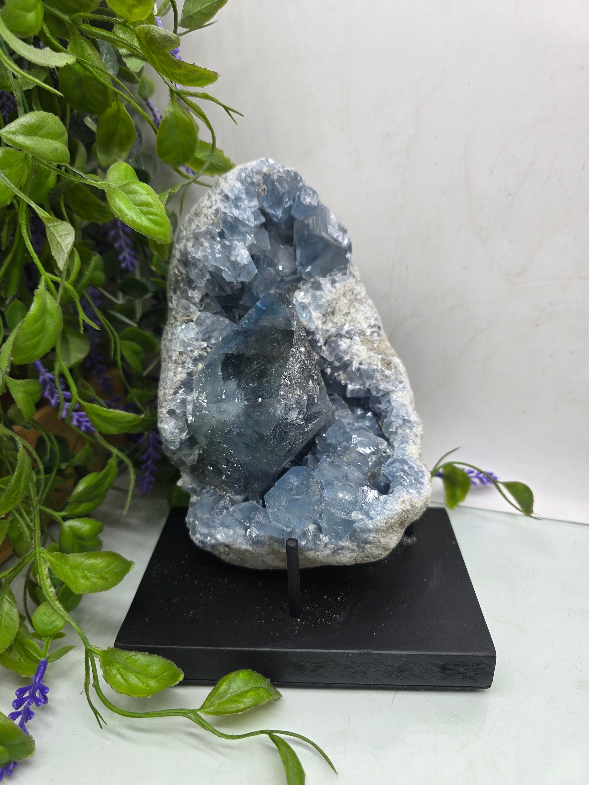 Celestite Geode Cluster 3kgs 19x14x10cm Premium Quality (Stone of Divine Peace & Angelic Connection) Crystal Wellness