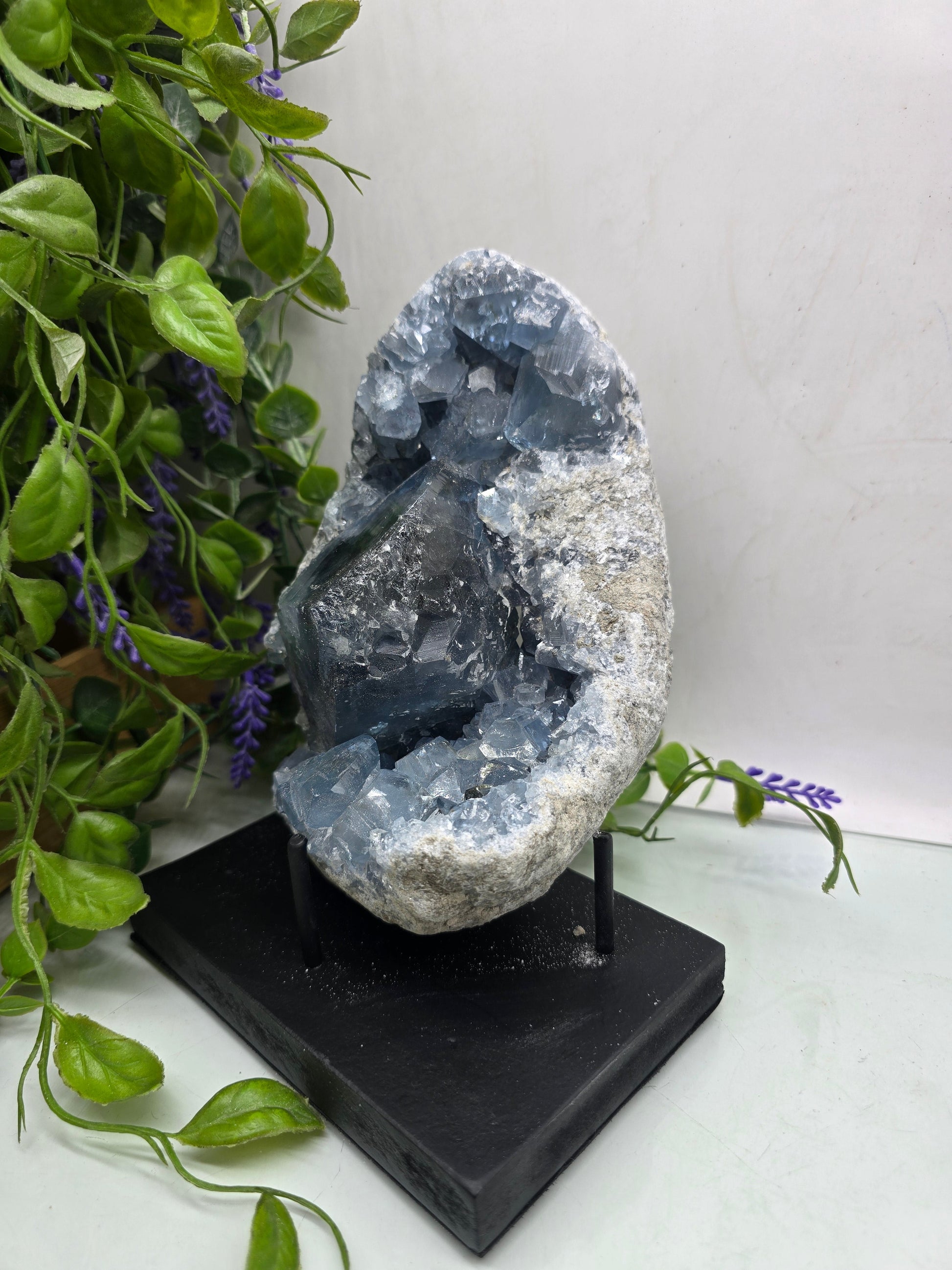 Celestite Geode Cluster 3kgs 19x14x10cm Premium Quality (Stone of Divine Peace & Angelic Connection) Crystal Wellness