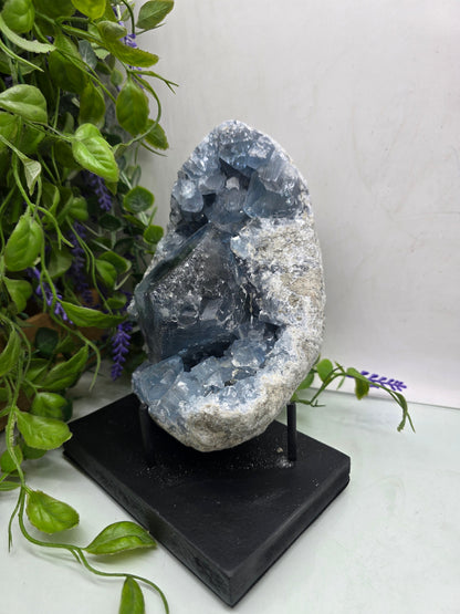 Celestite Geode Cluster 3kgs 19x14x10cm Premium Quality (Stone of Divine Peace & Angelic Connection) Crystal Wellness