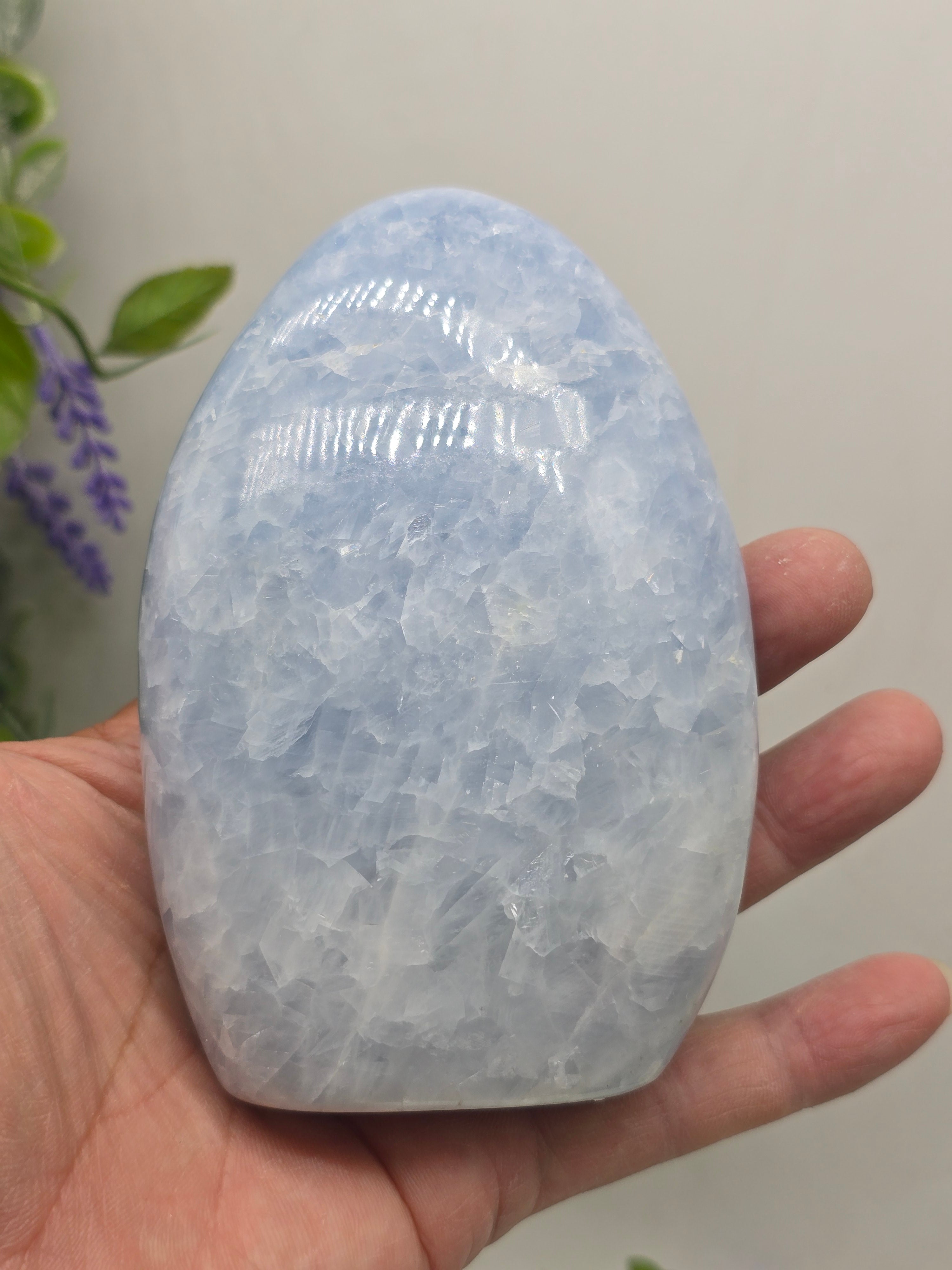 Blue Calcite Freeform – Madagascan Serenity & Renewal Stone (587g 11x8x3cm) Crystal Wellness
