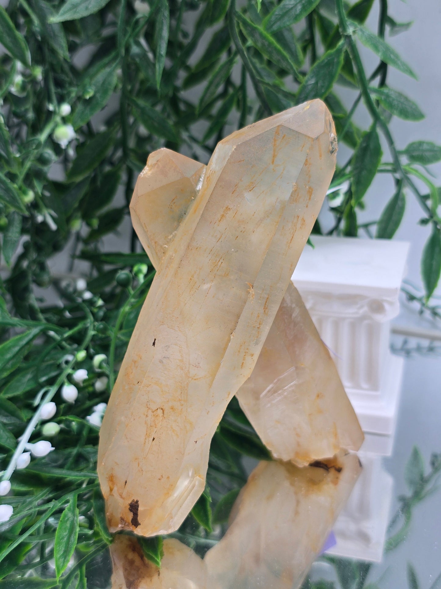 Genuine Natural Citrine Crystal Cluster | Stone of Abundance & Joy | 317g Crystal Wellness