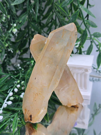 Genuine Natural Citrine Crystal Cluster | Stone of Abundance & Joy | 317g Crystal Wellness