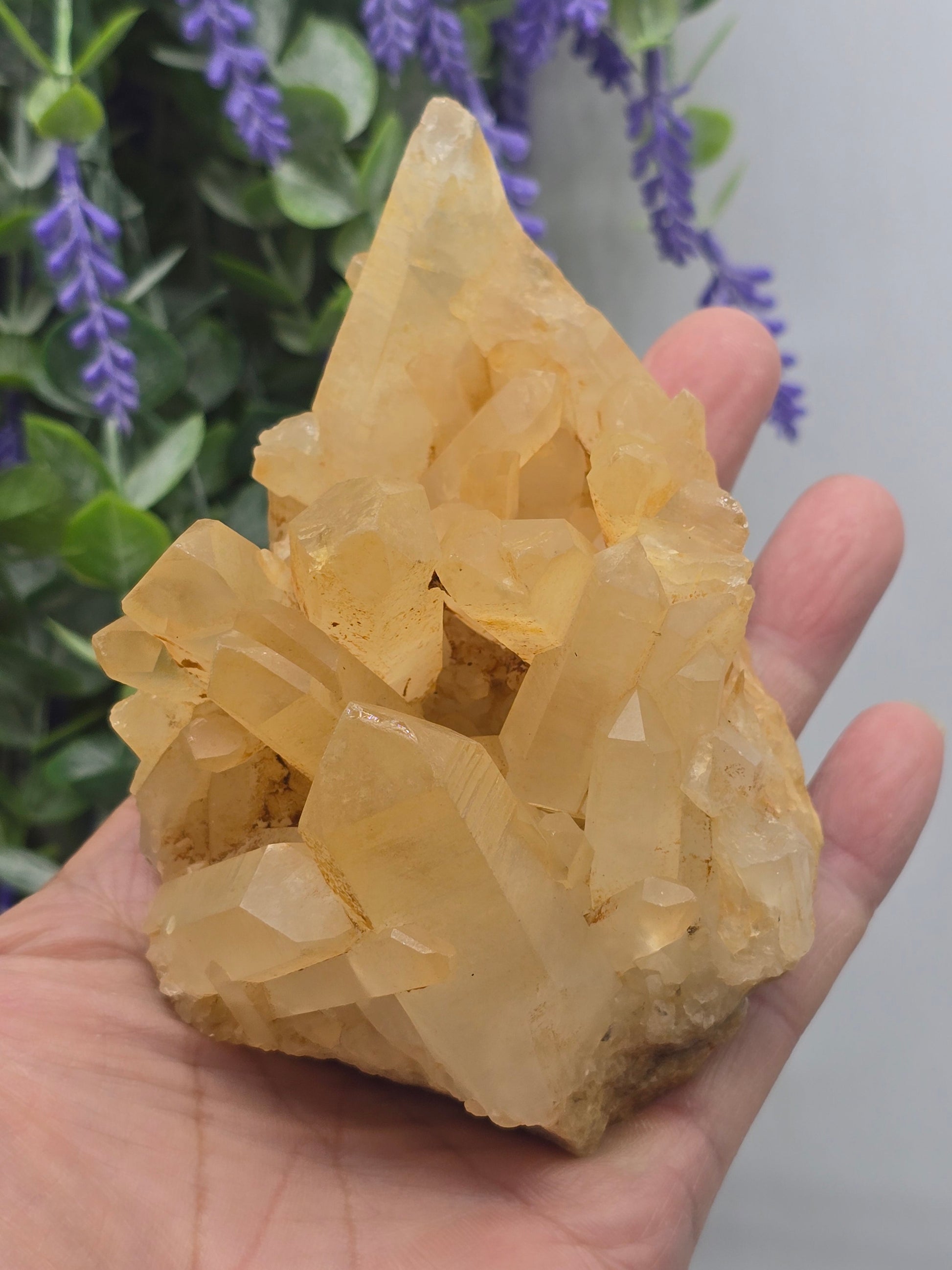 Madagascar Genuine Natural Citrine Cluster – 370g (Stone of Abundance, Success & Empowerment. Crystal Wellness