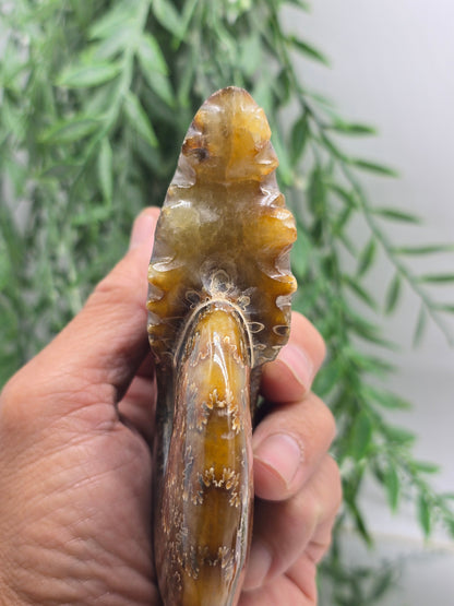 Large Madagascar Ammonite Fossil 13cm - 3 (Ancient Wisdom & Transformation) Crystal Wellness