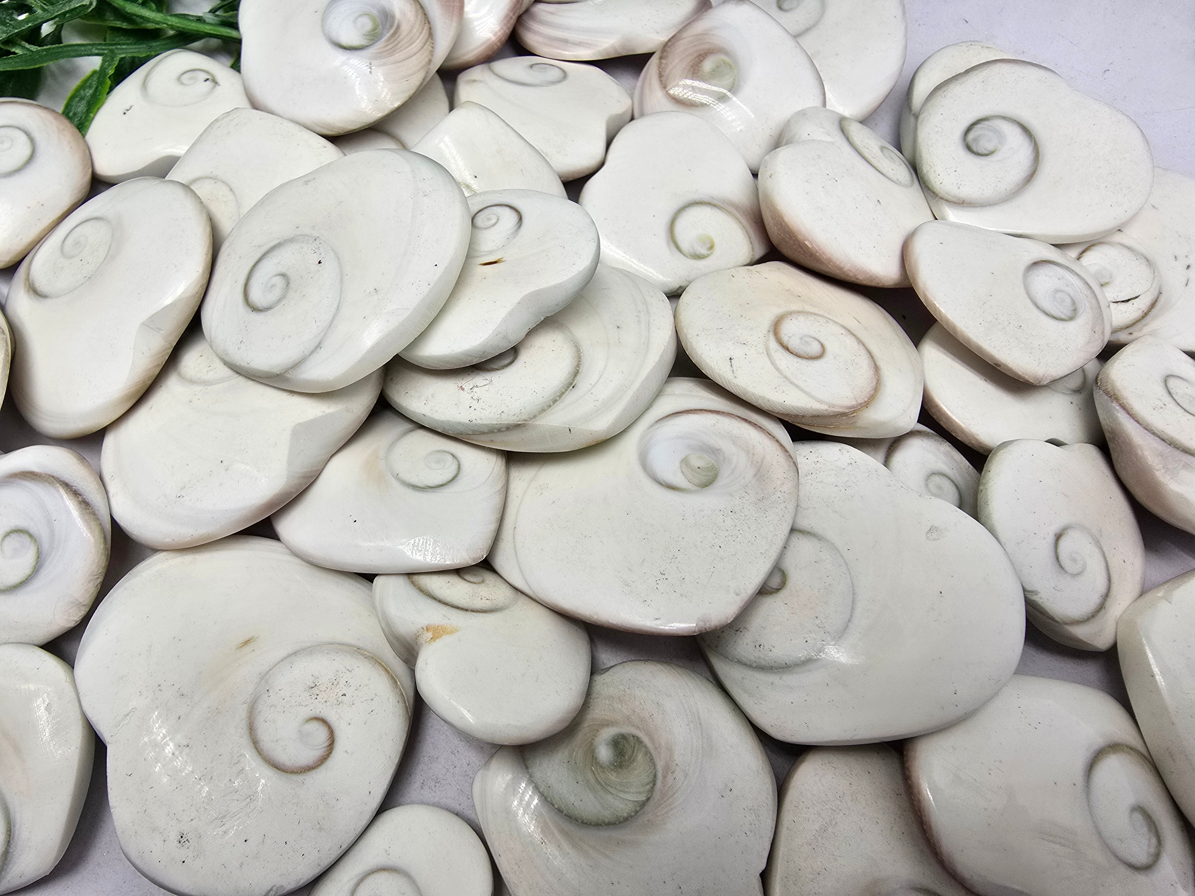 Operculum Crystal Wellness