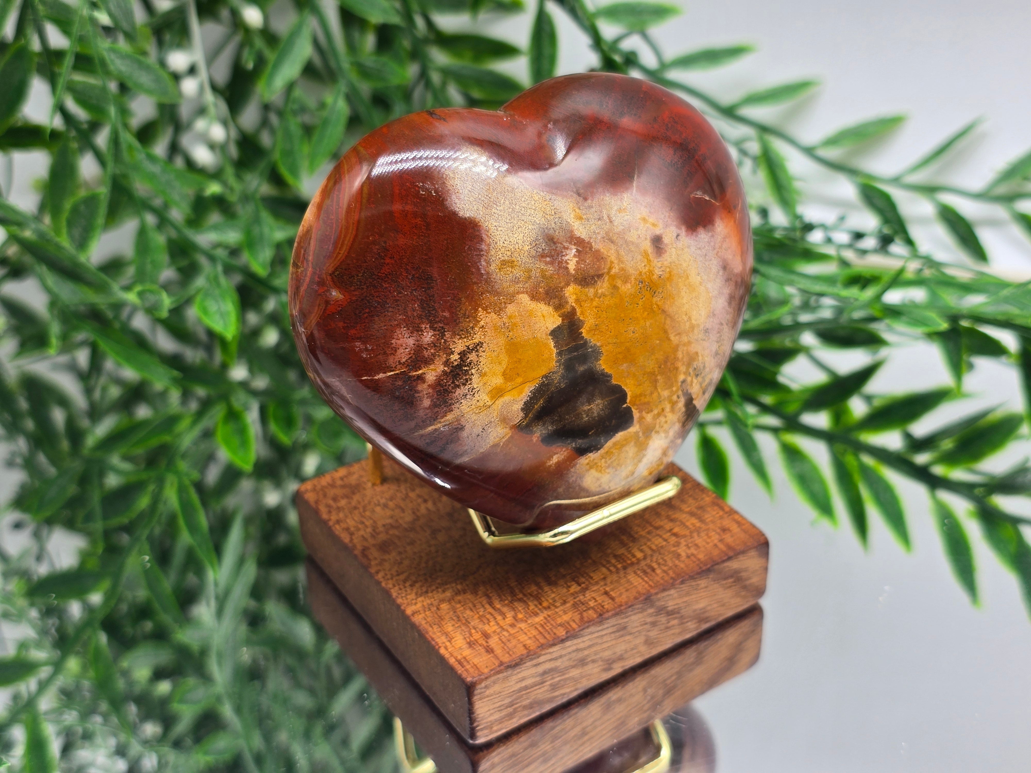 Premium Grade Madagascar Petrified Wood Heart – Stone of Stability and Enduring Success | 317g Crystal Wellness