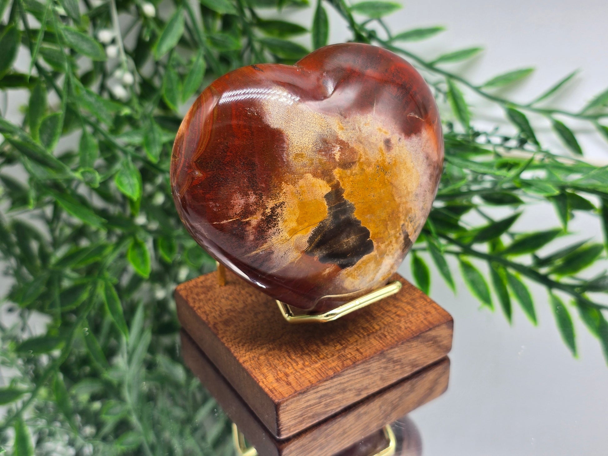 Premium Grade Madagascar Petrified Wood Heart – Stone of Stability and Enduring Success | 317g Crystal Wellness