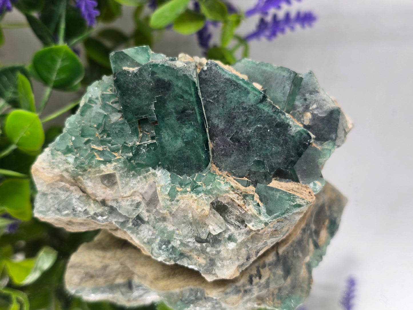 Natural Green Fluorite Cluster — Madagascar (Stone of Clarity & Renewal) Crystal Wellness