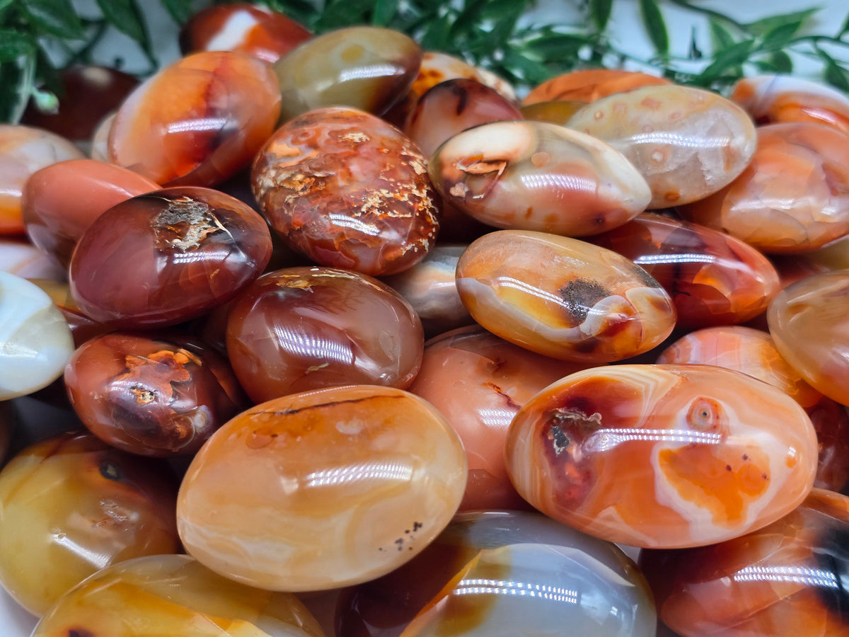 Premium Madagascar Carnelian Palmstone — Stone of Vitality, Courage & Motivation Crystal Wellness