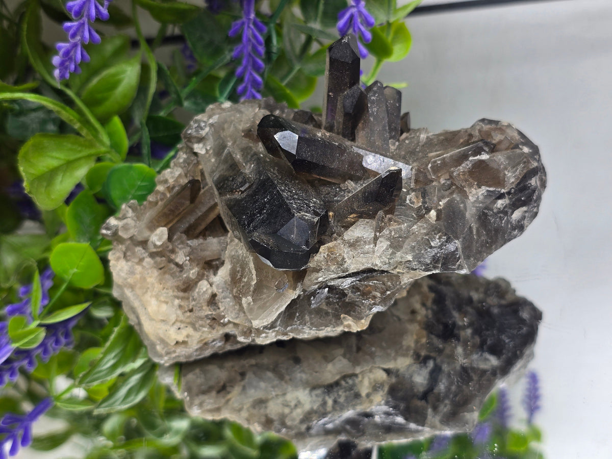 Smoky Quartz Cluster – Stone of Power, Grounding & Protection | 0.6kg Crystal Wellness