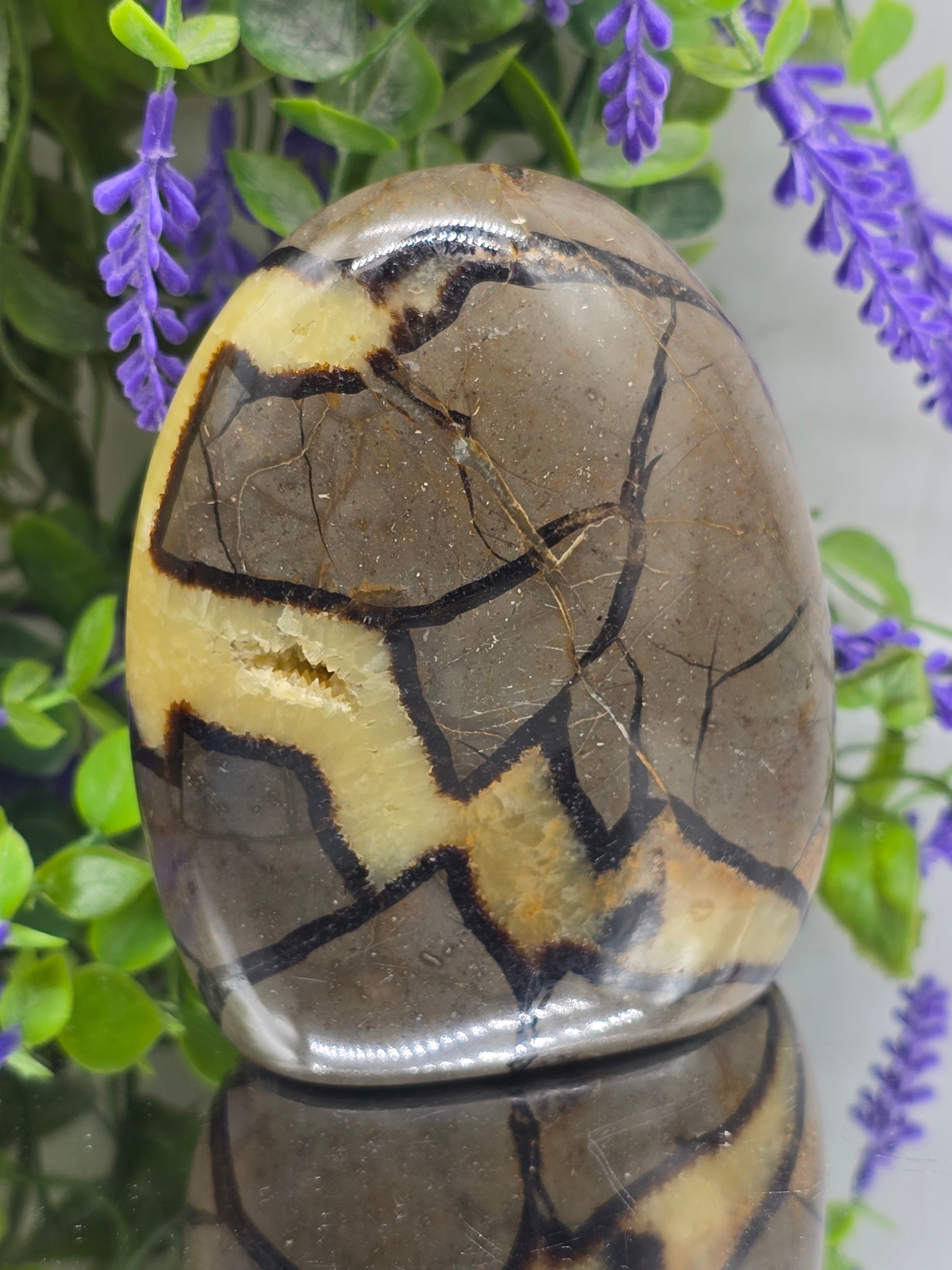Septarian Freeform High Grade – 741g | Stone of Dragon, Grounding, Confidence & Emotional Balance Crystal Wellness