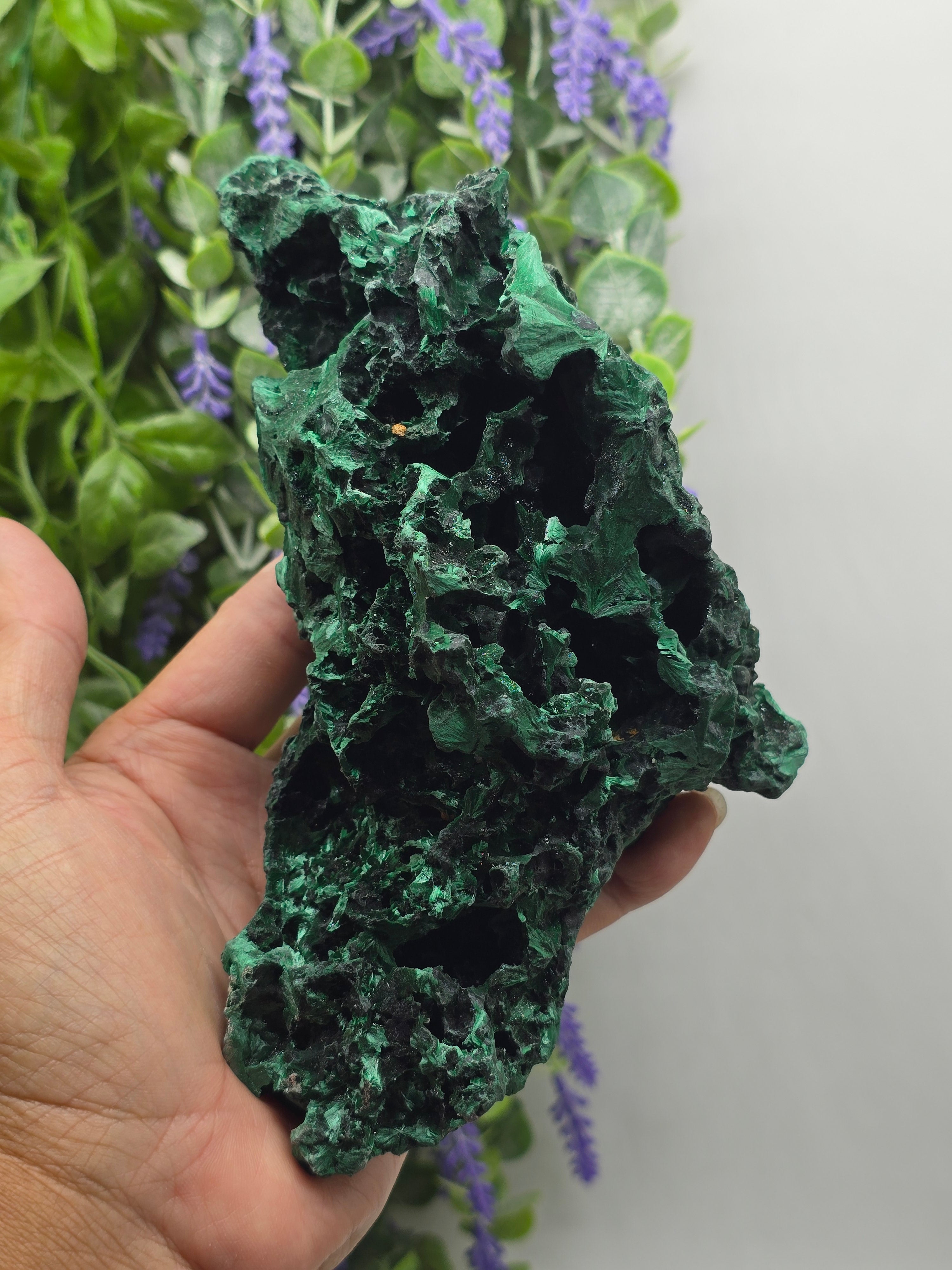 Luxury High-Grade Fibrous Malachite Freeform Display Specimen – Stone of Transformation & Empowered Growth Crystal Wellness