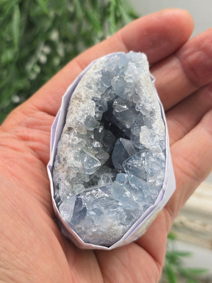 Natural Celestite Cluster – Madagascar | Angelic Communication, Peace & Spiritual Connection Crystal Wellness