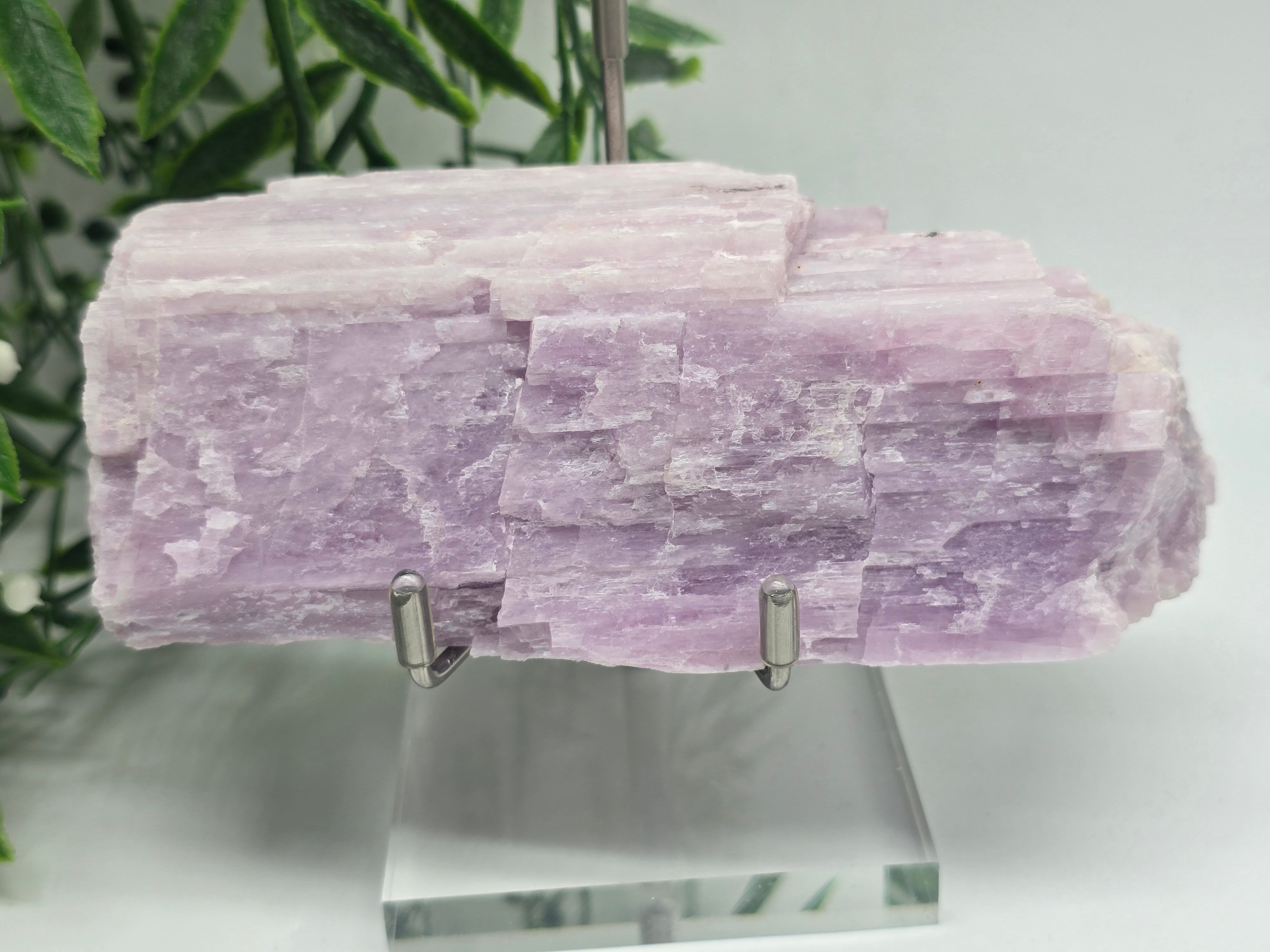 💗 Kunzite Raw High Quality – Stone of Divine Love, Calm & Emotional Healing 14x7x4cm Crystal Wellness